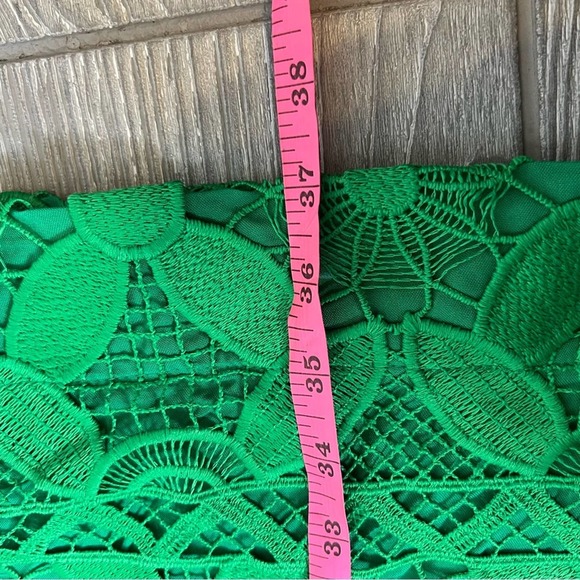 Anthropologie Green Lace Mini Dress - Picture 8 of 8